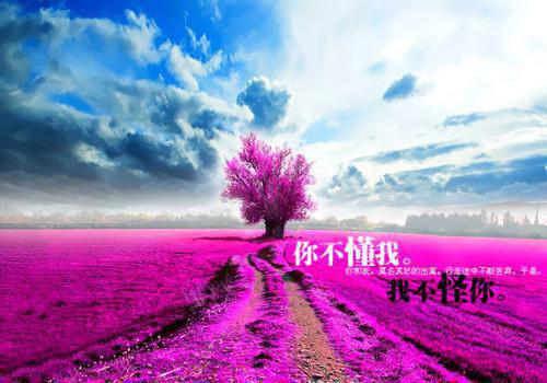 关于冬天的散文800字
