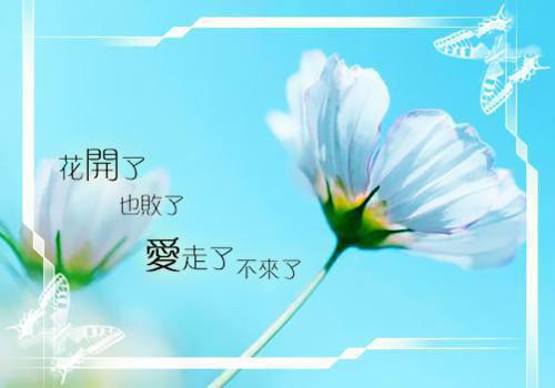 讲故事大全童话