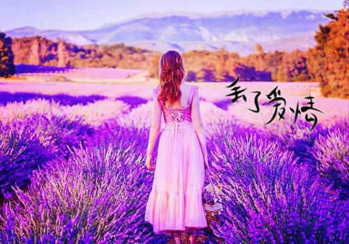 高一班主任评语
