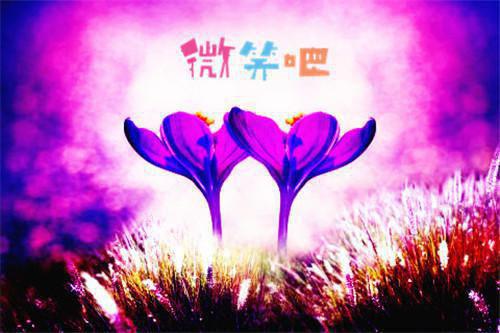 表达忧伤的心情语录大全
