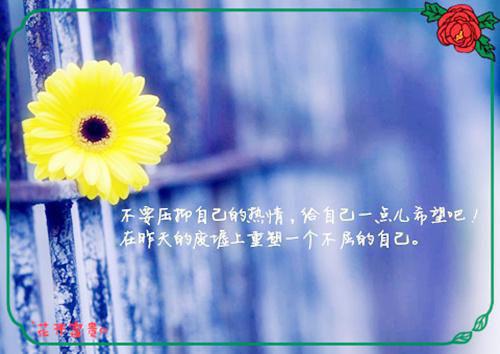 赞美的名人名言