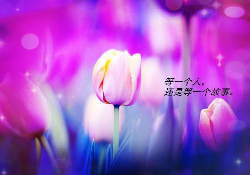 高雅有内涵的微信名字