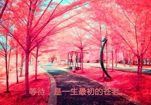 史记中经典的小故事
