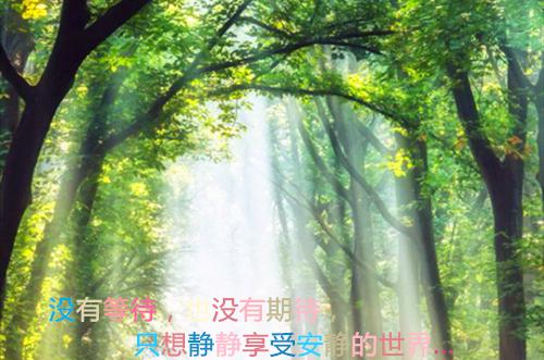 幼儿园幼儿学期家长评语