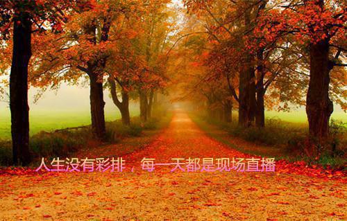 励志感悟语录