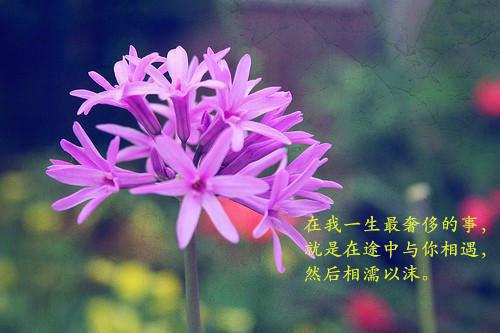 积极进取的励志名言