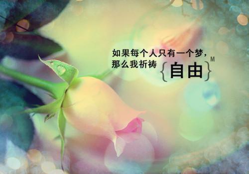 与小狐狸有关的童话故事