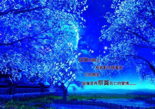 关于2022年网络经典语录