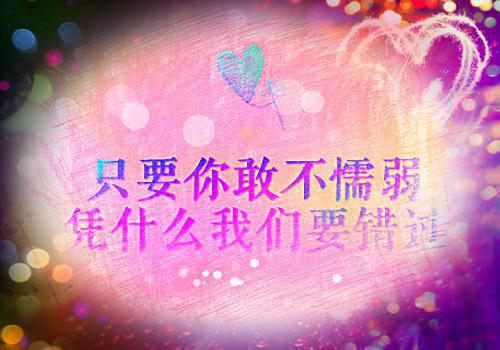 《宿主》影评――寻求极致的真善美