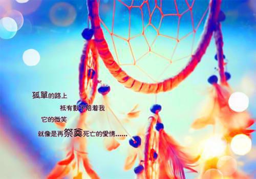 關于河貍的事愛兒童故事愛游泳的小河貍