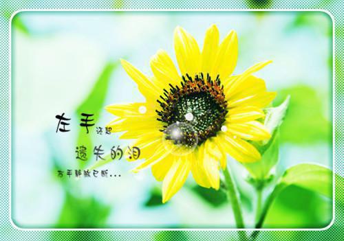 关于时间的谚语：时间不会有重返