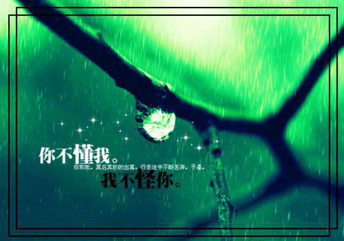 关于小鸟的睡前故事懒惰的小鸟