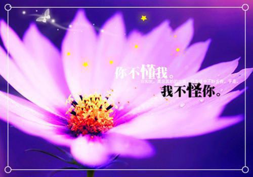 情人节·九种浪漫行动