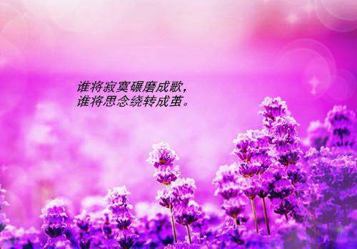 名人描写春天的名言名句