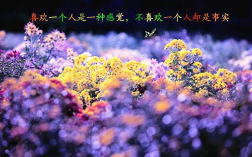 編寫幼兒生活故事【三篇】