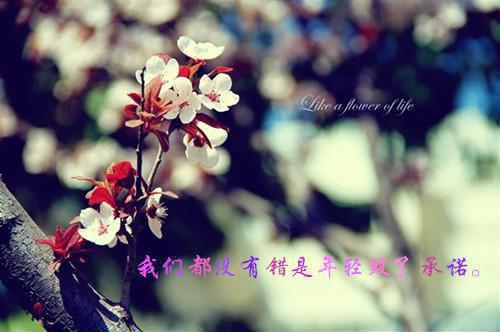 温馨浪漫的唯美句子