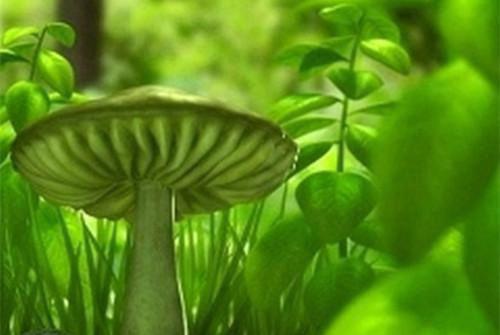 en和eng绕口令用来训练普通话