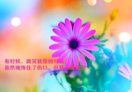 关于思想方法的谚语