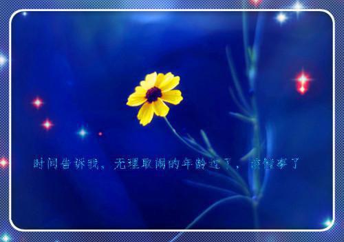 名人名言：阿尔伯特·加缪