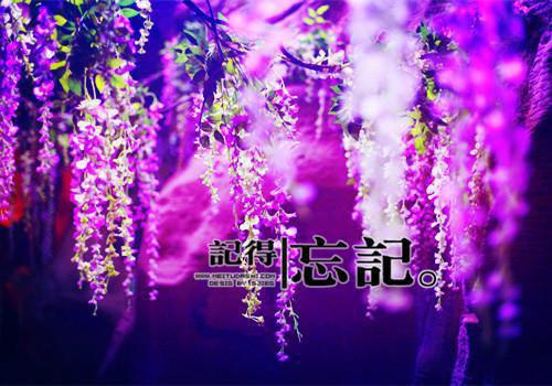 学会放弃,解脱自我