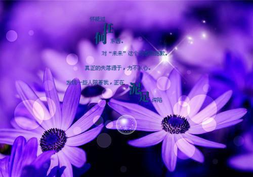 职场励志小故事和启示