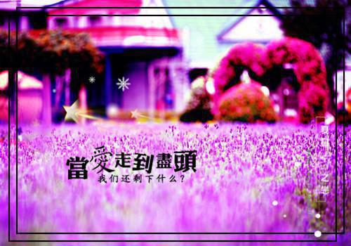 蚂蚁日记作文300字六篇