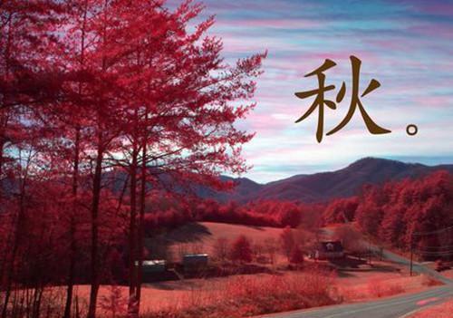 关于谦虚的励志名言