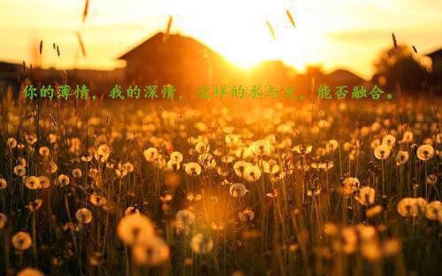 曾经的爱人要结婚了