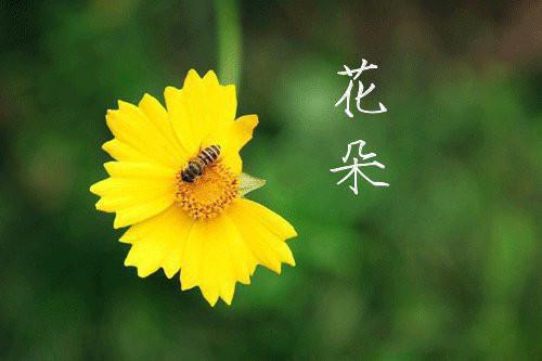 幼儿园绕口令芸芸和蕴蕴学看云