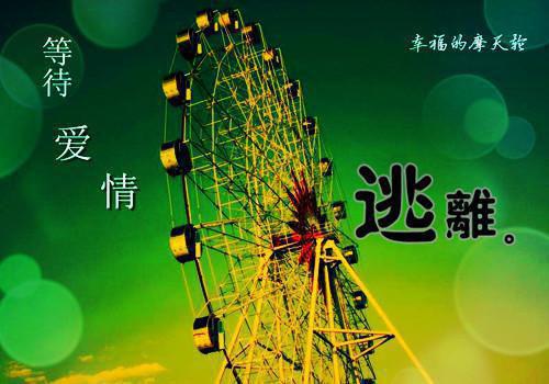 读人生感悟的故事