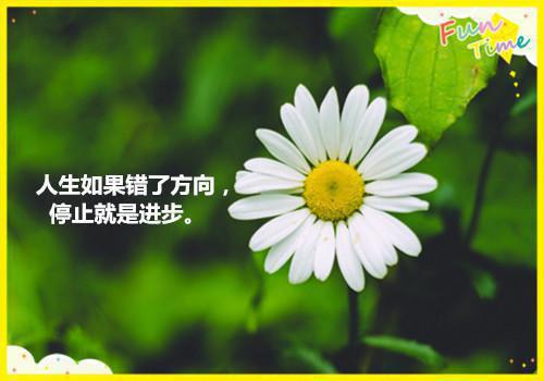中國名人故事：邱少云的故事故事英雄故事