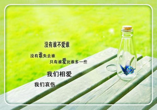 花园草地保护口号