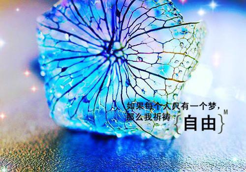 中国成语故事：朽木不可雕