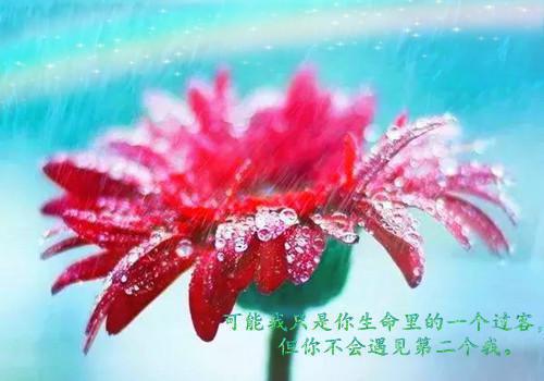 生日个性祝福短信