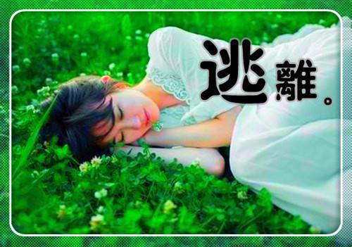 当幸福来敲门观后感15篇