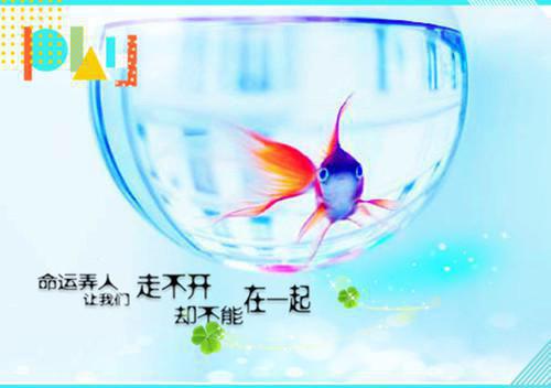 读《中华上下五千年》有感300字作文五篇
