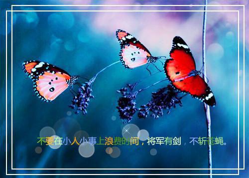 儿童睡前童话故事：小蜗牛的家