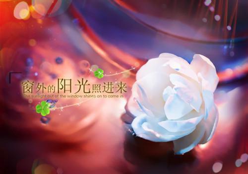 2岁宝宝睡前故事孩子爱听的