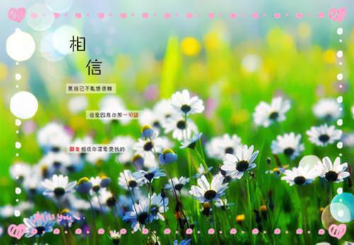 一句话伤感语录