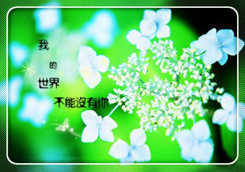 作家刘同句子语录摘抄