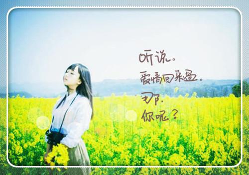 关于励志求学的谚语