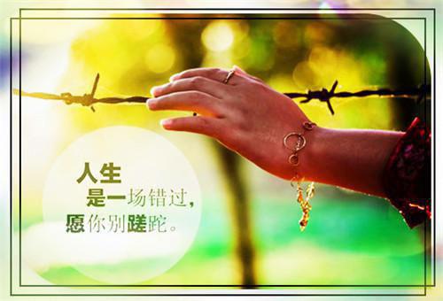 搞笑重口味的励志日志句子大全