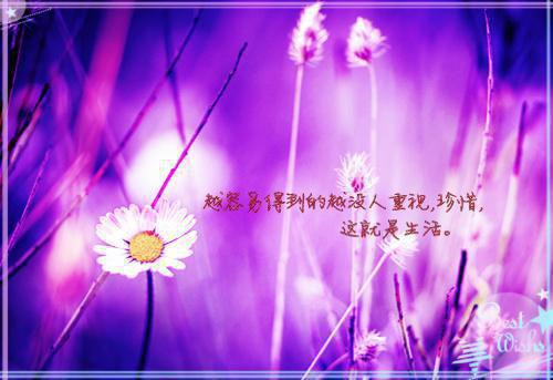 短小童话故事大全