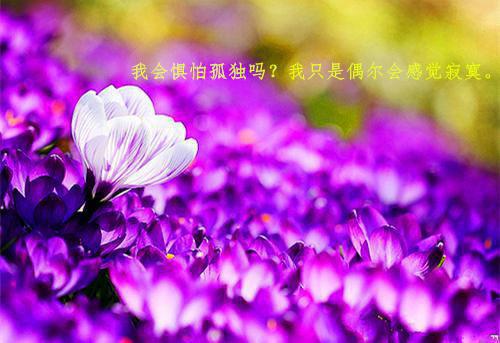 与农业种植有关的谚语