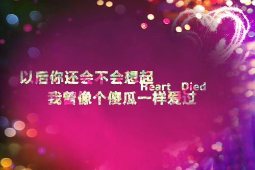 最美三行情书获奖作品