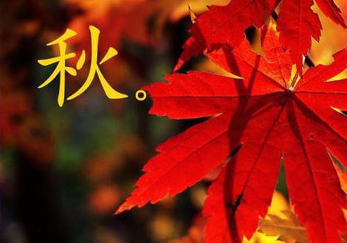关于成功过程的名言