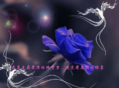 初中生看的童话故事