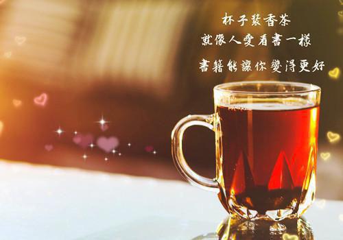 《攀登者》观后感(15篇)