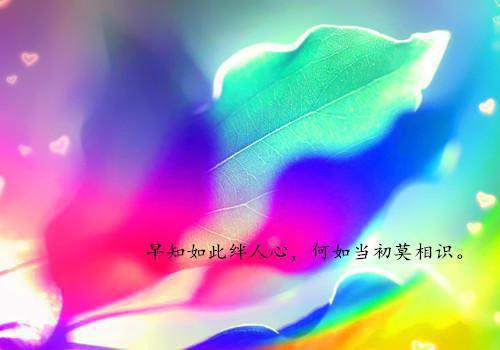 哲理励志经典语录大全
