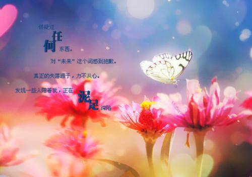 【精品】生活记事作文锦集九篇